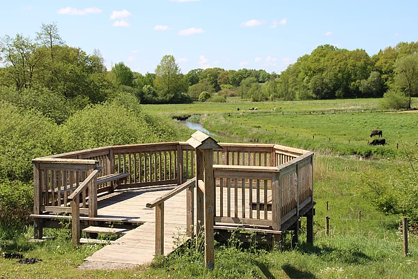 Aussichtsplattform in der Natur